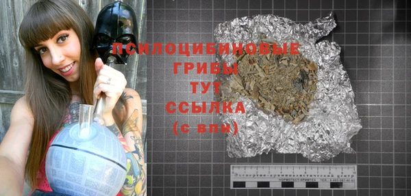 амф Липки