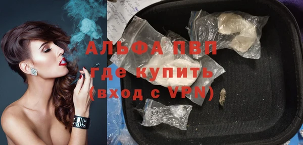 шишки Снежногорск