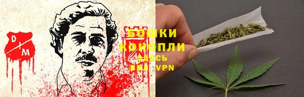 дмт Тавда