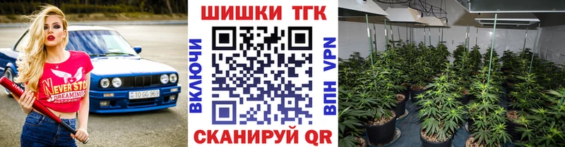 Шишки марихуана тримм  сколько стоит  Шлиссельбург 